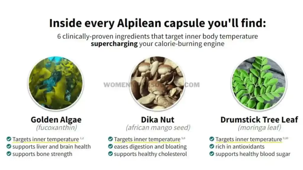 Alpilean-Ingredients