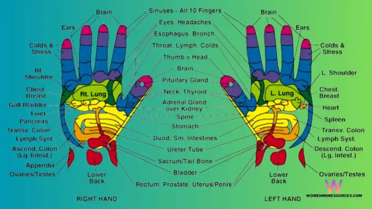 Acupuncture Points In Hands